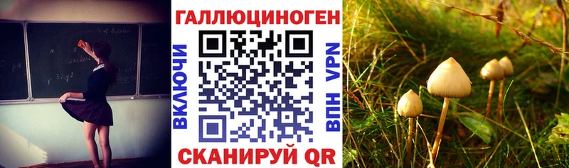 Галлюциногенные грибы мицелий  дарк нет телеграм  ссылка на мегу ССЫЛКА  Киров  где можно купить  