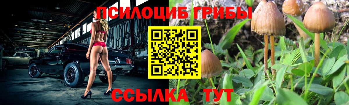 даркнет сайт  Вход с VPN  Киров  Псилоцибиновые грибы Cubensis 