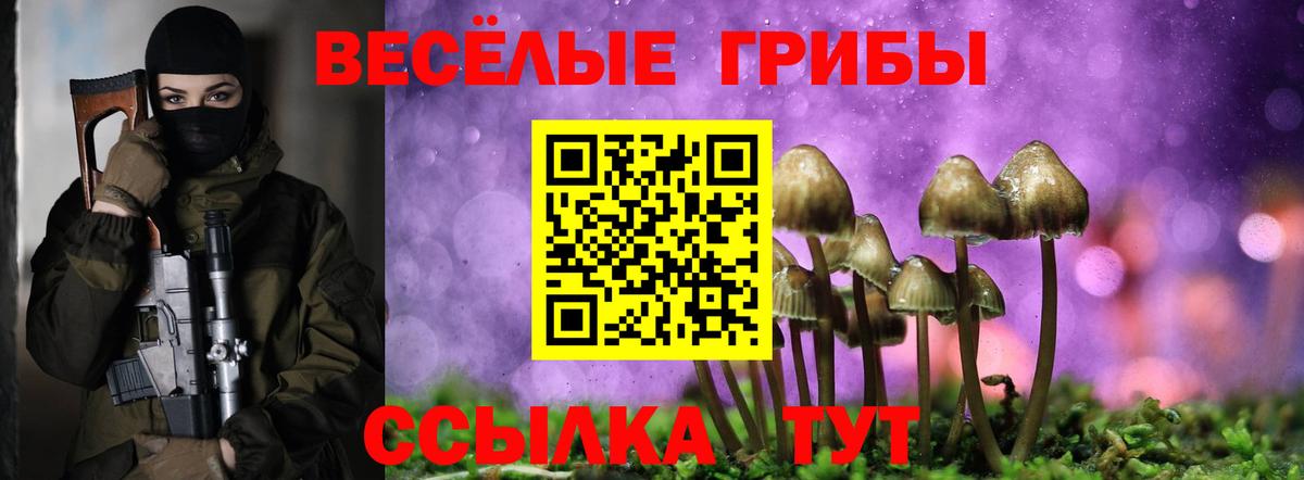Псилоцибиновые грибы ЛСД Киров