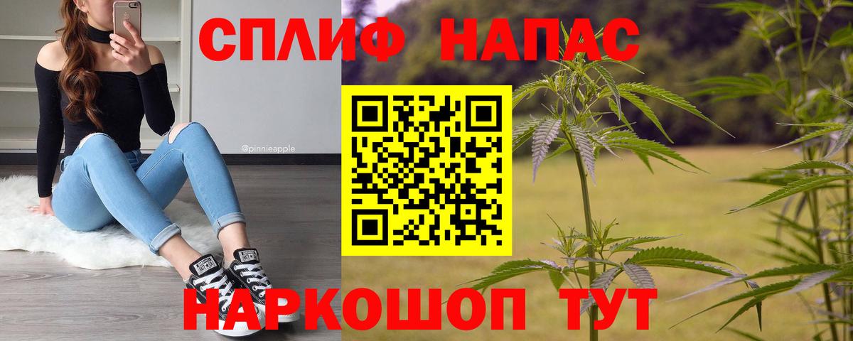 Бошки Шишки план  Вход с VPN  Бошки марихуана гибрид  МАРИХУАНА THC 21%  Киров  Конопля семена 